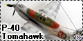  Звезда 1/72 P-40 Tomahawk