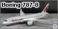 Boeing 787-8 Qatar