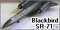 Hasegawa 1/72 SR-71 Blackbird