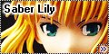 FG4862 - Saber Lily - Совершенство в доспехах2