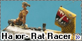 На юг - Rat Racer